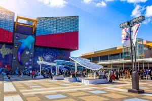 【海遊館】チケット販売のお知らせ